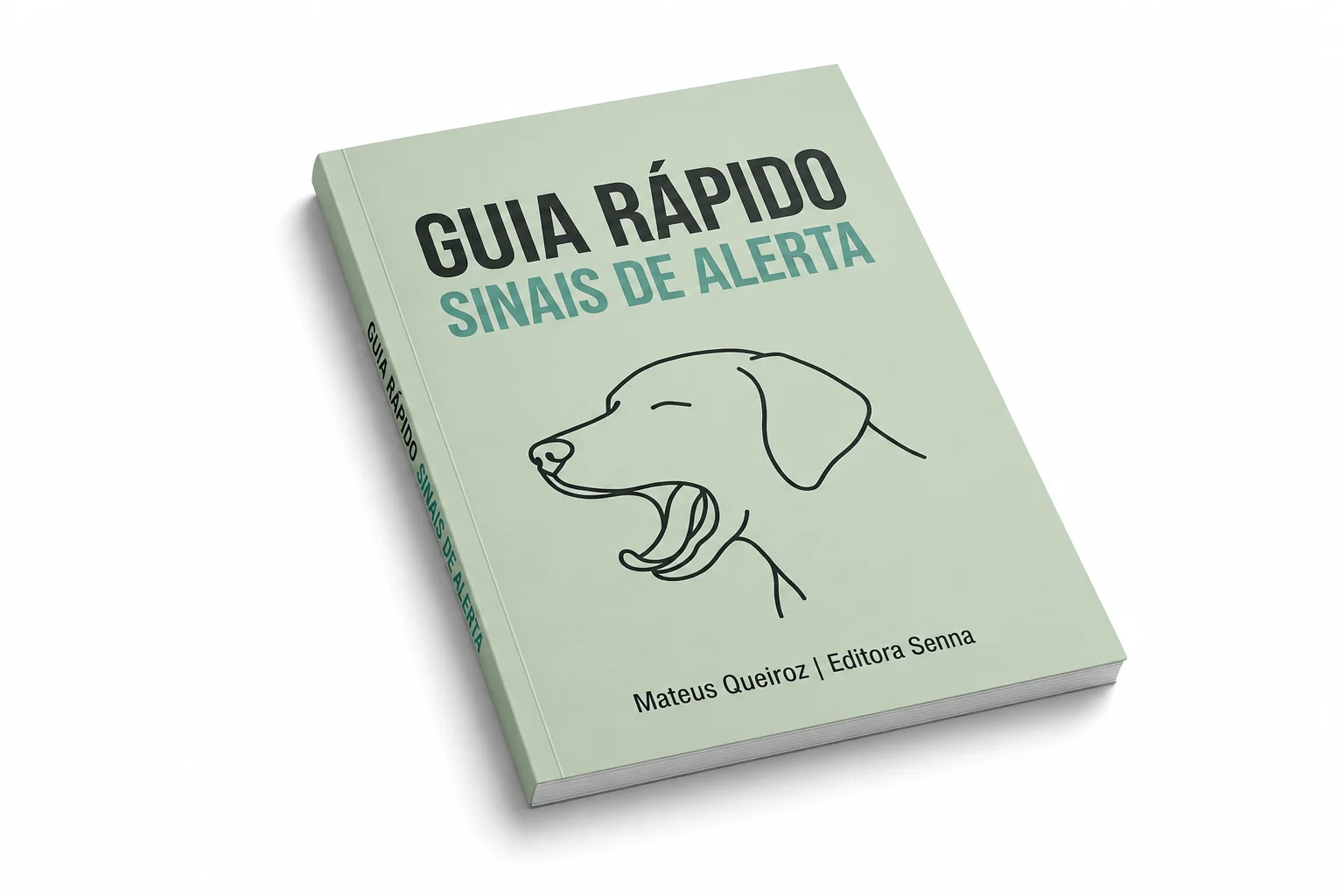 Mockup — Guia Rápido Sinais de Alerta
